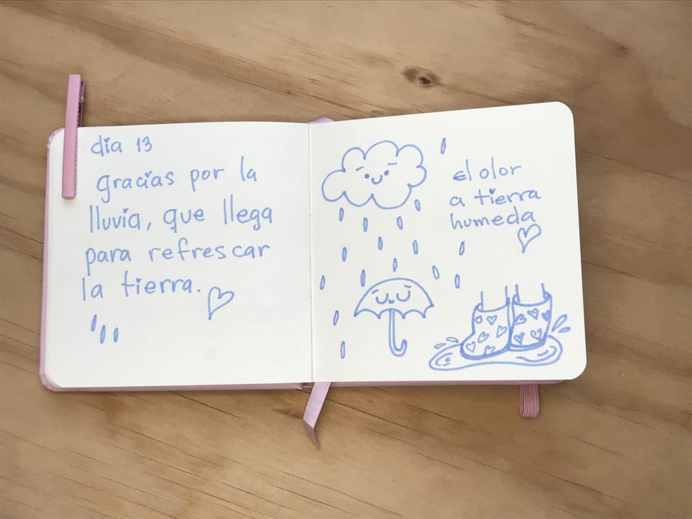 Diario ilustrado de gratitud 21 días - image 5 - student project