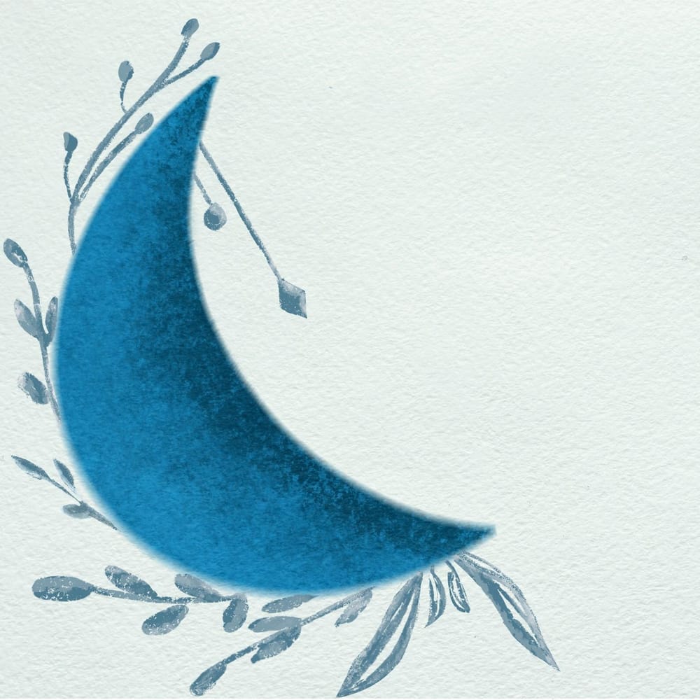 Textured Moon - image 1 - student project