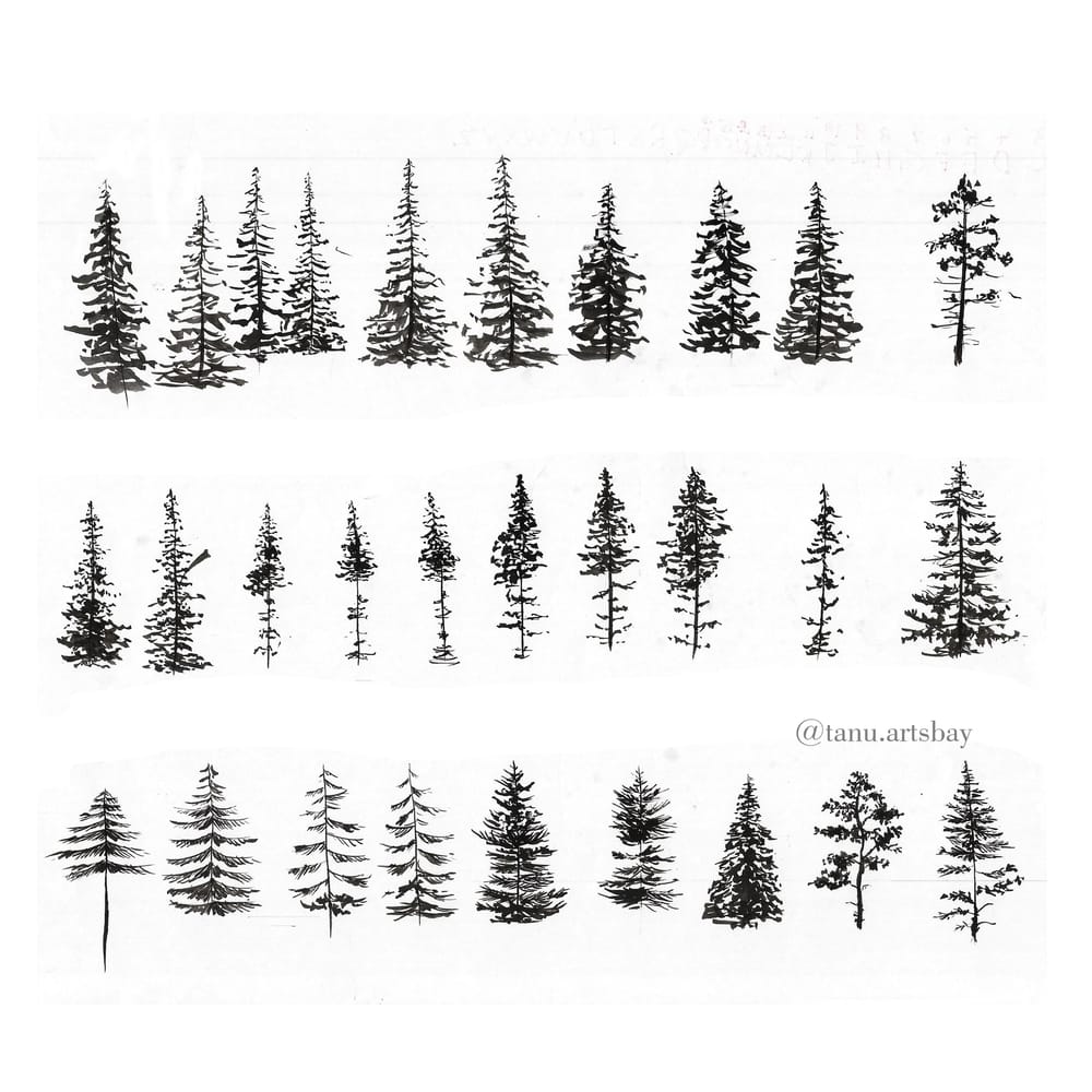 pine-trees-skillshare-student-project