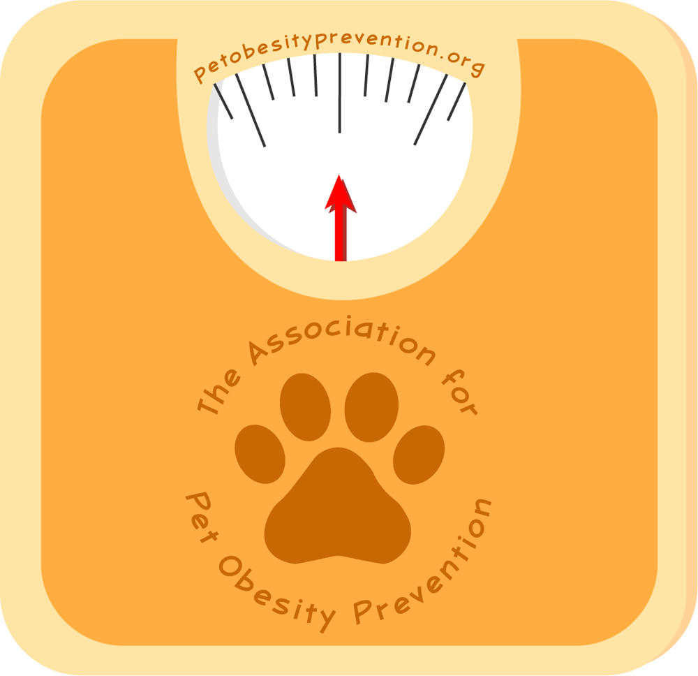 Illustrator - Essentials Training - image 6 - student project