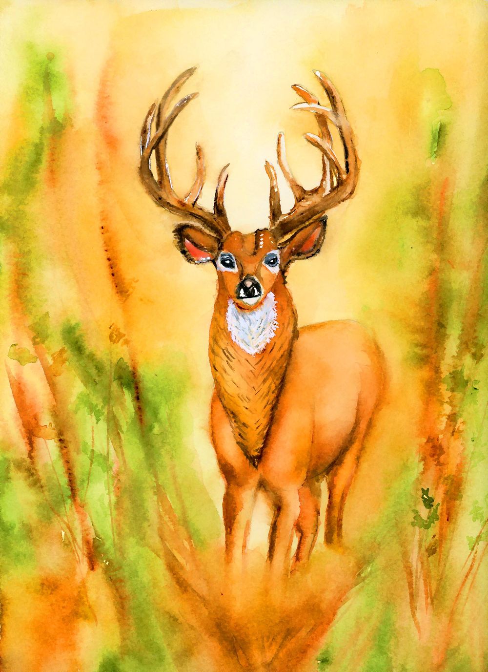 stag in forest - image 1 - student project