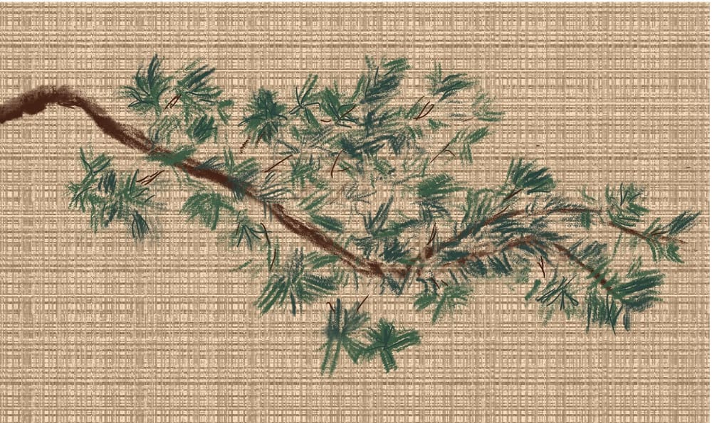 Piney Doodle - image 1 - student project