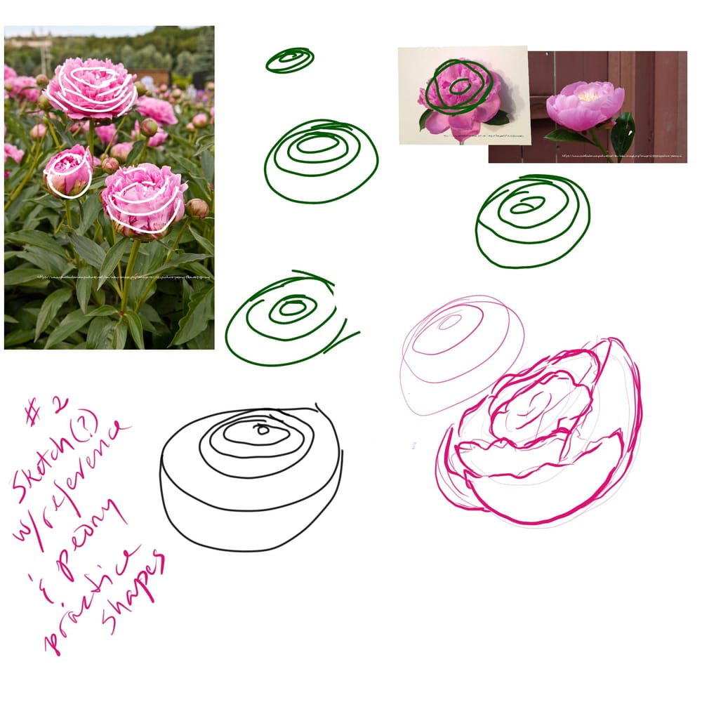 Piney Doodle - image 3 - student project