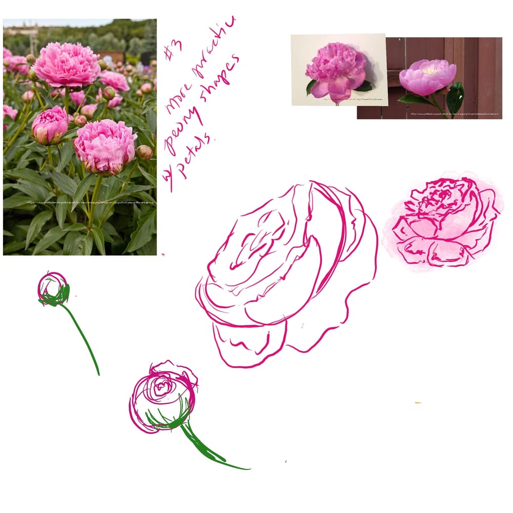 Piney Doodle - image 4 - student project