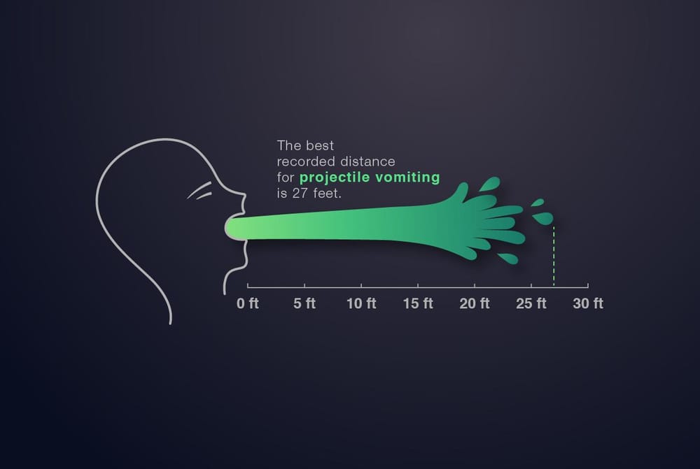 Random Fact Infographic - image 1 - student project