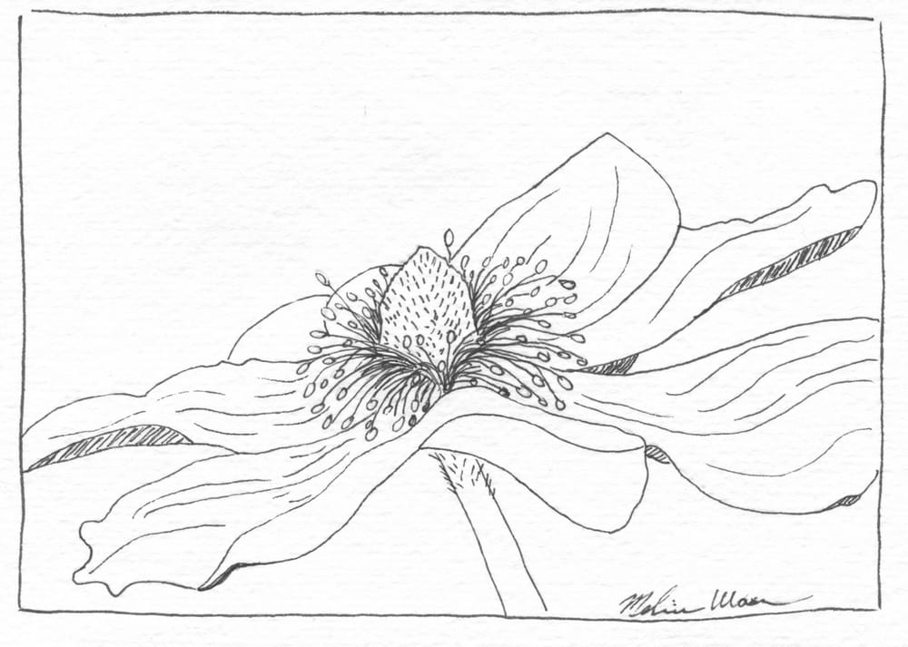 Flower Watercolor Skillshare Student Project