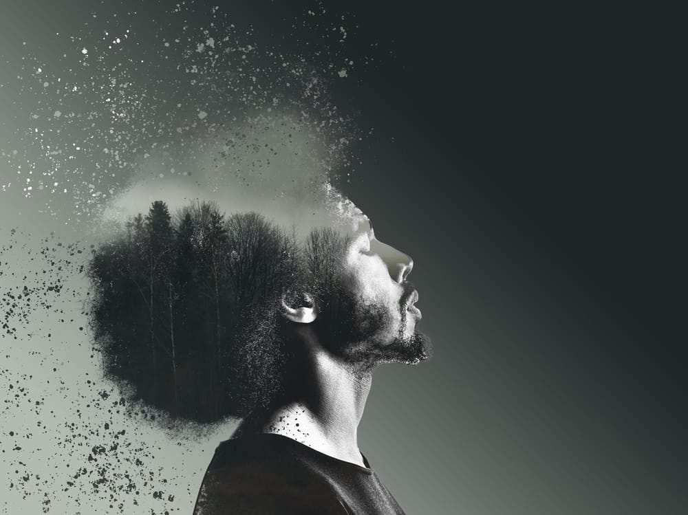 Photoshop Advanced - image 4 - student project
