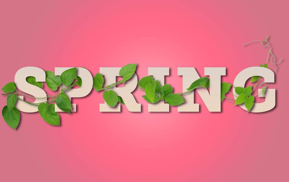 Photoshop Advanced - image 9 - student project