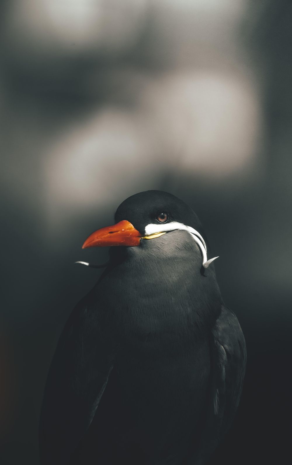 Travel & Nature - image 1 - student project