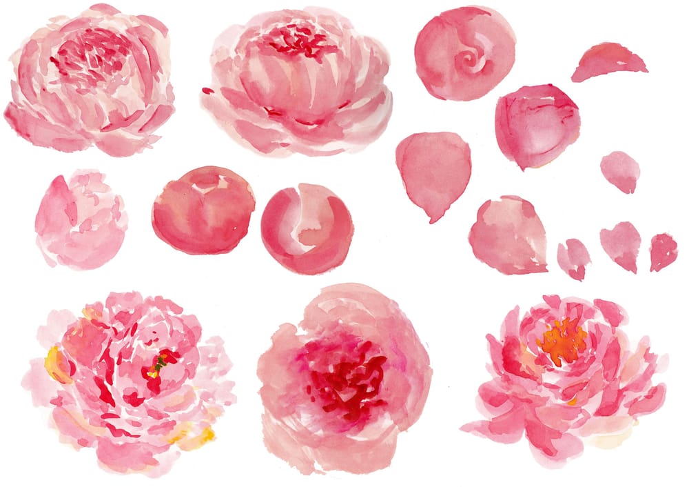 Pattern Design Session - Vintage Peonies - image 4 - student project