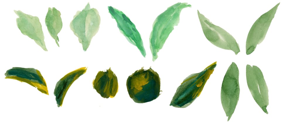 Pattern Design Session - Vintage Peonies - image 5 - student project