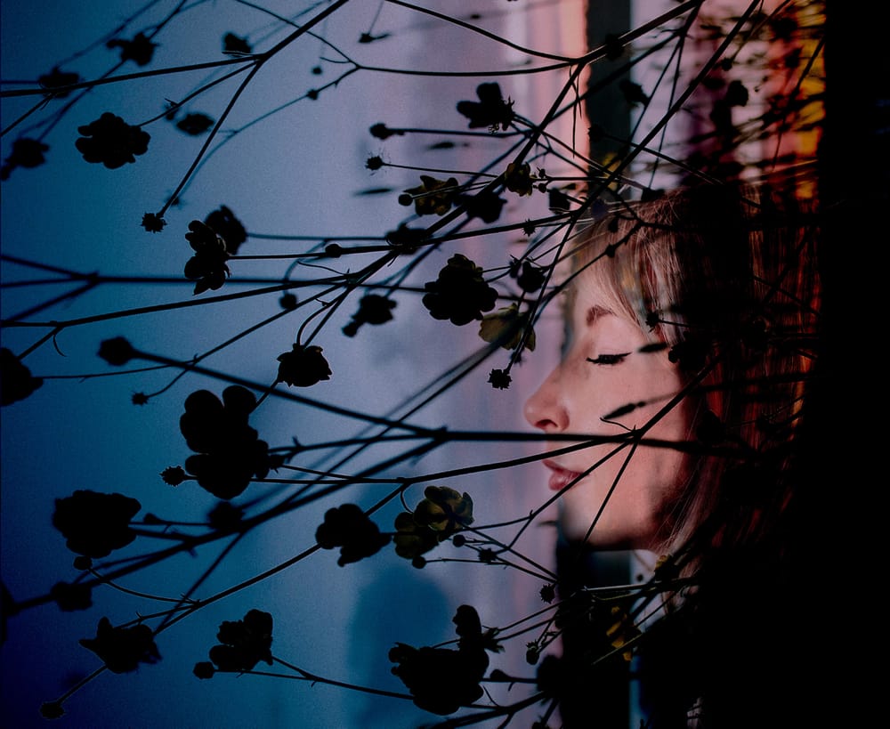 Dreaming of Flowers - image 1 - student project