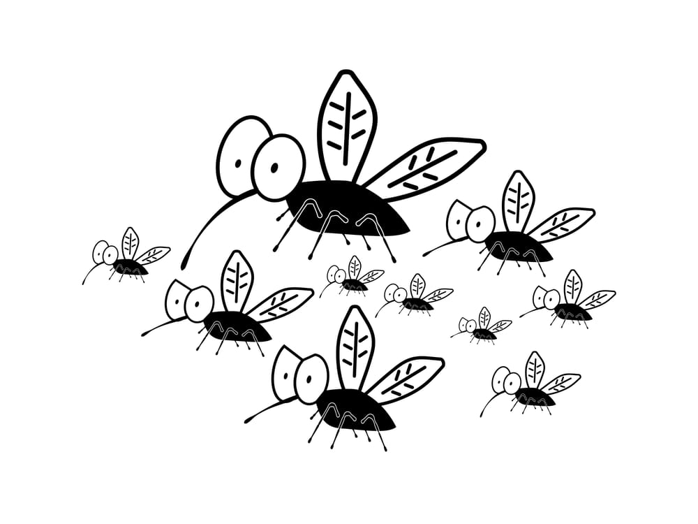 Camp Mosquito - image 4 - student project