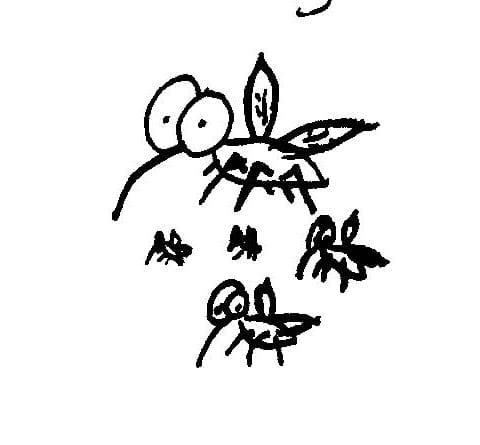 Camp Mosquito - image 2 - student project