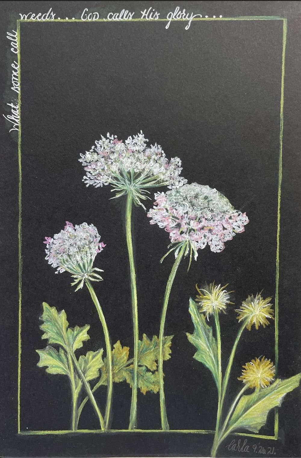 Wild flowers - image 1 - student project