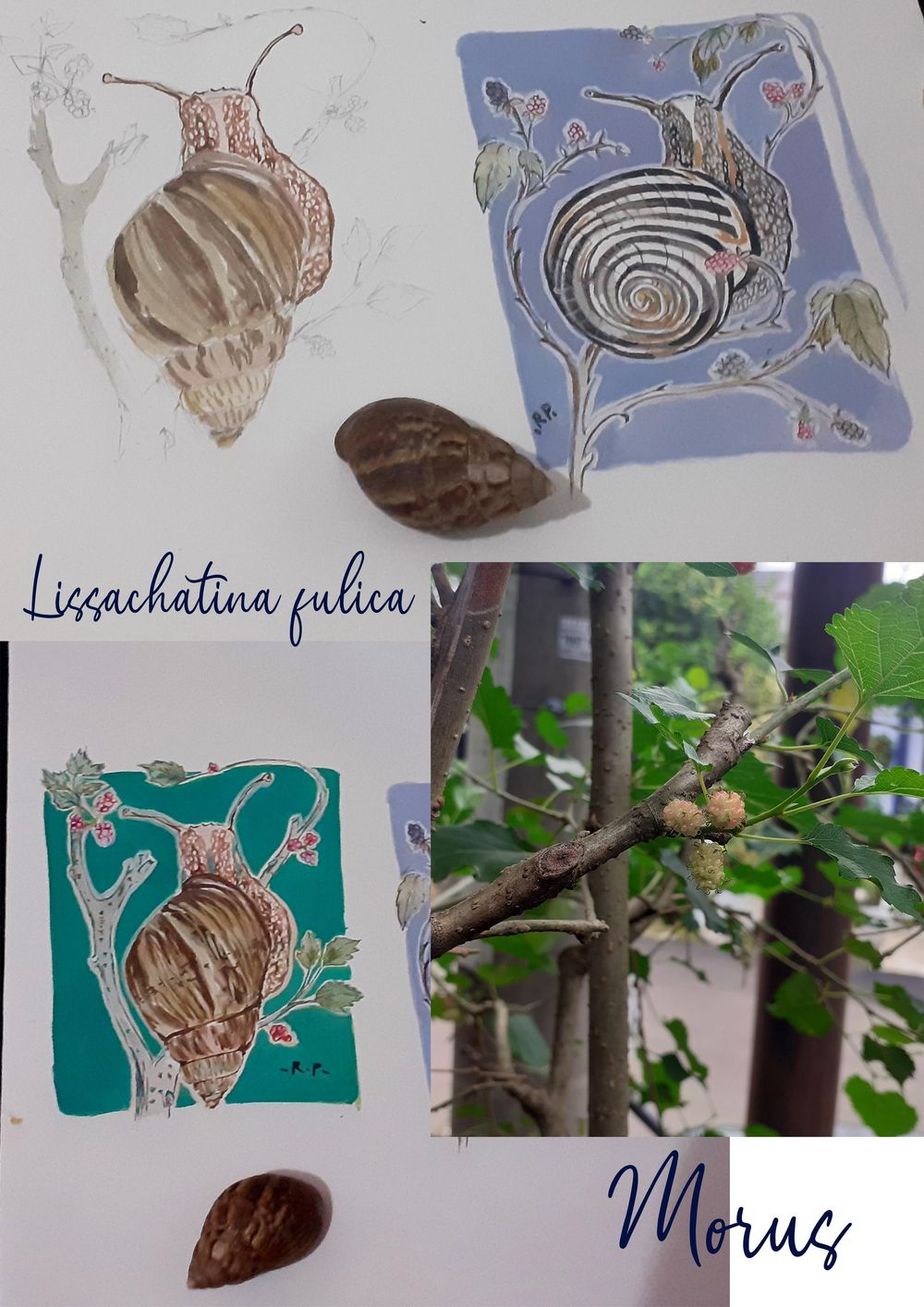 mixedmedia class Skillshare Student Project