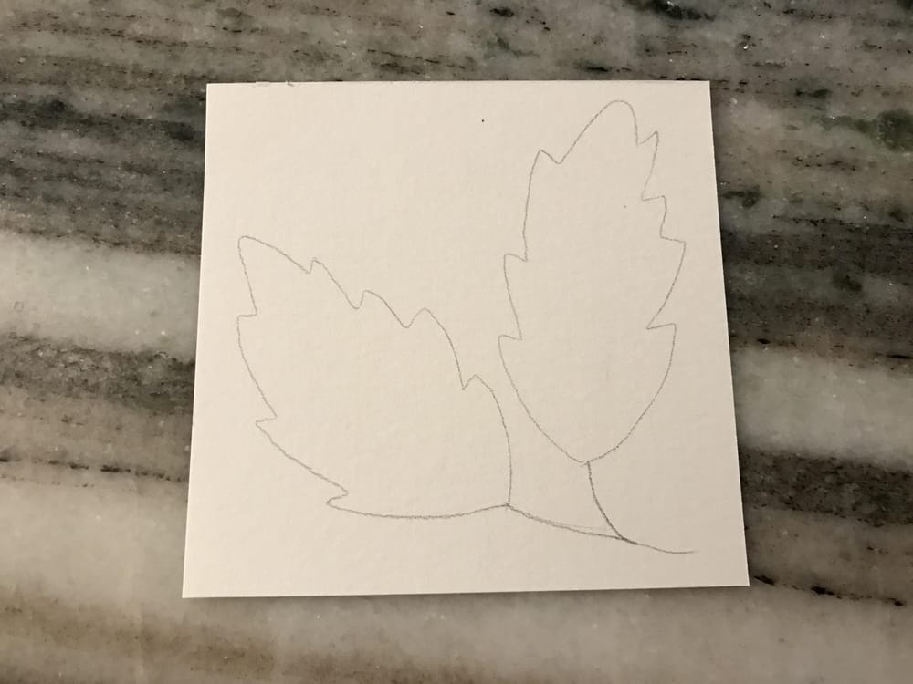 My First Leaves! - image 6 - student project