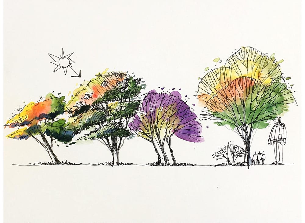 Cars, trees and Furnishings - image 6 - student project