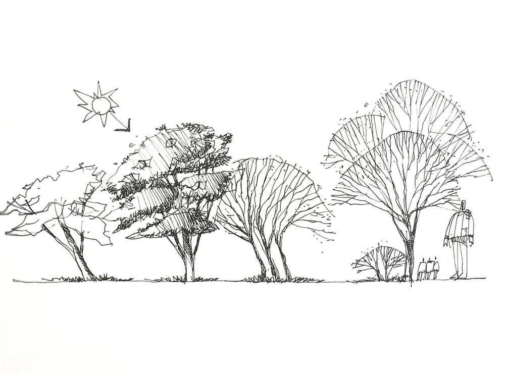 Cars, trees and Furnishings - image 4 - student project