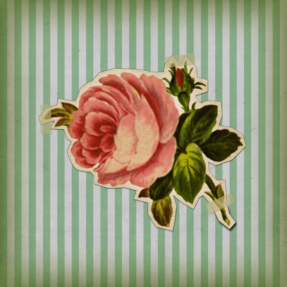 Pink Rose - image 1 - student project