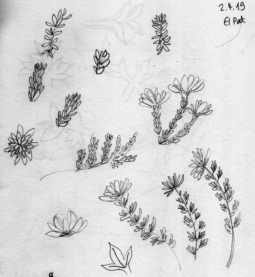 Fireplants - image 2 - student project