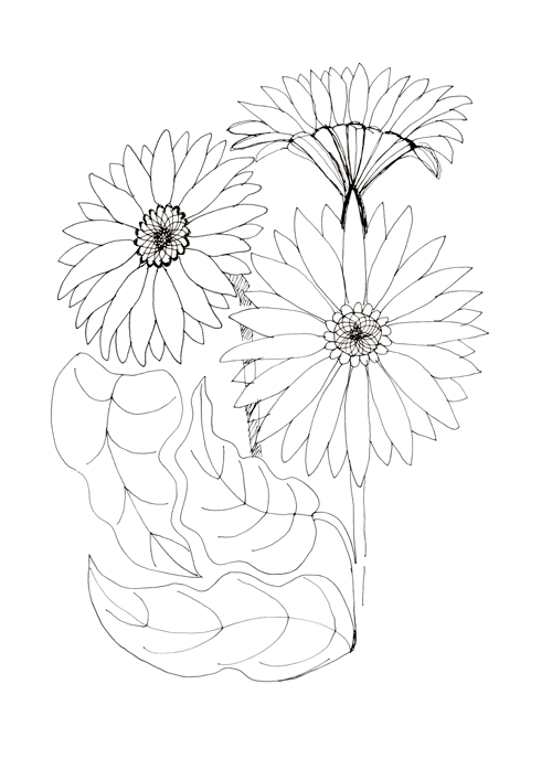 Gerbera and Black-eyed Susan vines - image 2 - student project