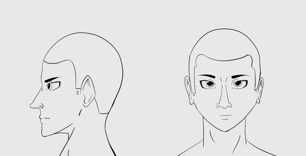 Noses & Ears - image 2 - student project