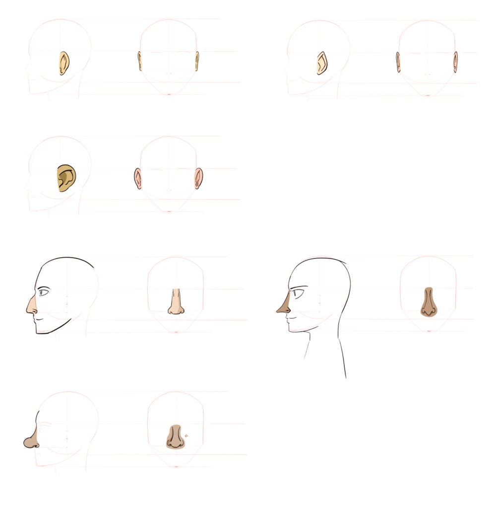Noses & Ears - image 1 - student project