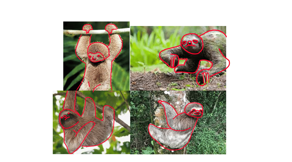 Sloth Character - image 1 - student project