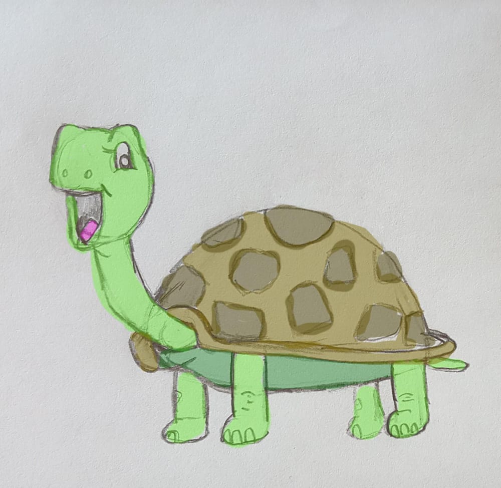 Turtles - image 4 - student project