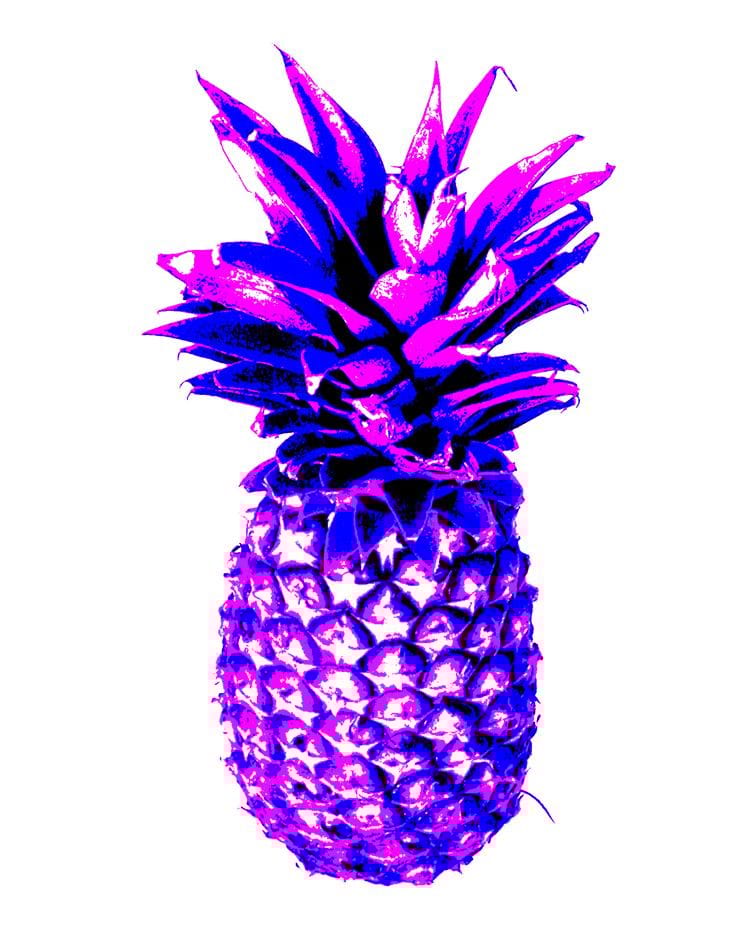 Playful play with prickly pineapples... :D - image 3 - student project