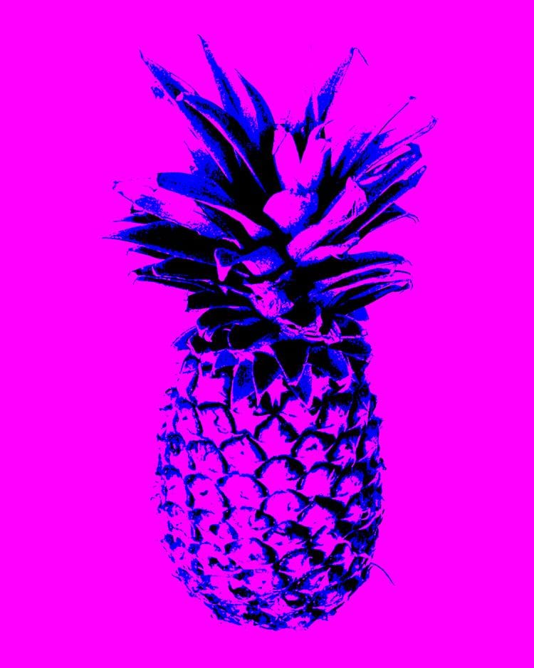 Playful play with prickly pineapples... :D - image 4 - student project