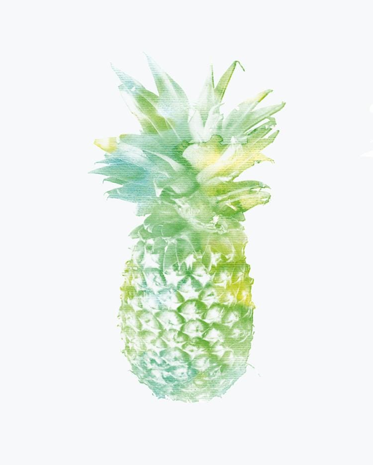 Playful play with prickly pineapples... :D - image 2 - student project