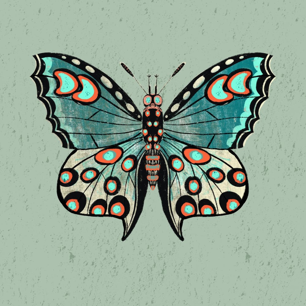 Butterflies - image 3 - student project