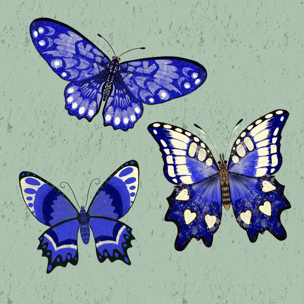 Butterflies - image 1 - student project