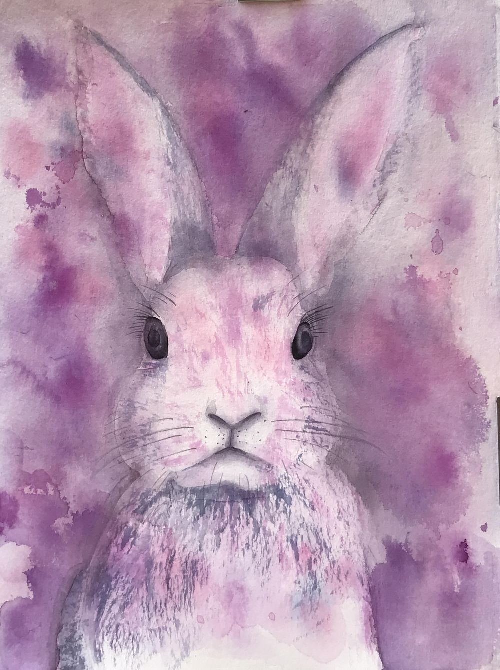 My Bunny - image 1 - student project