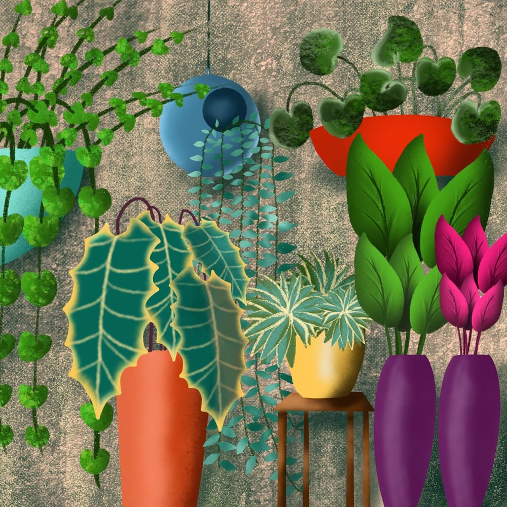 My vertical garden - image 1 - student project