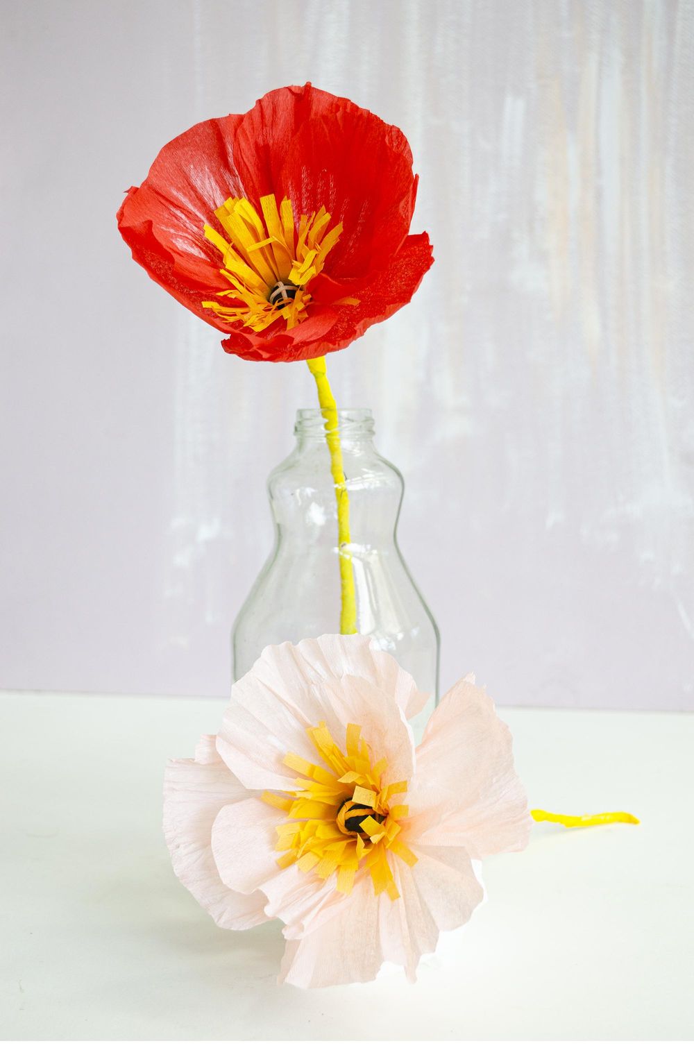 Poppy's from the tropics - image 1 - student project