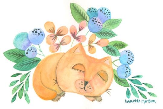 Cat Nap - image 1 - student project