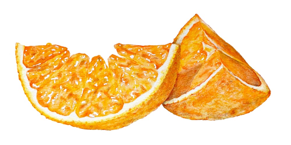 Fruit with Coloured Pencils - image 1 - student project