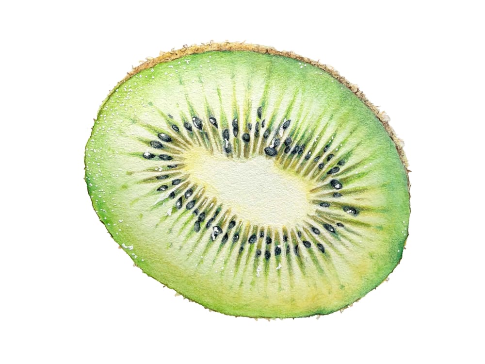Fruit with Coloured Pencils - image 2 - student project