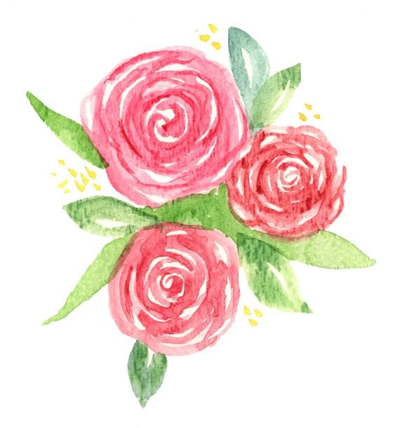 Roses - image 2 - student project