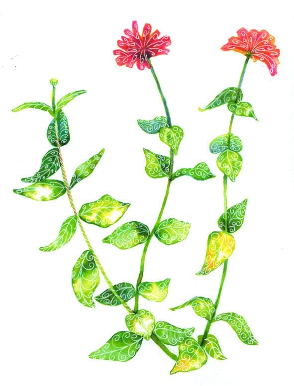 Whimsical flowers - image 2 - student project