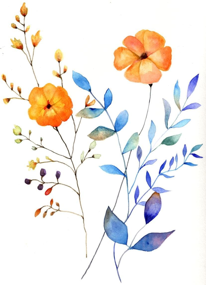 Watercolor flowers - image 1 - student project
