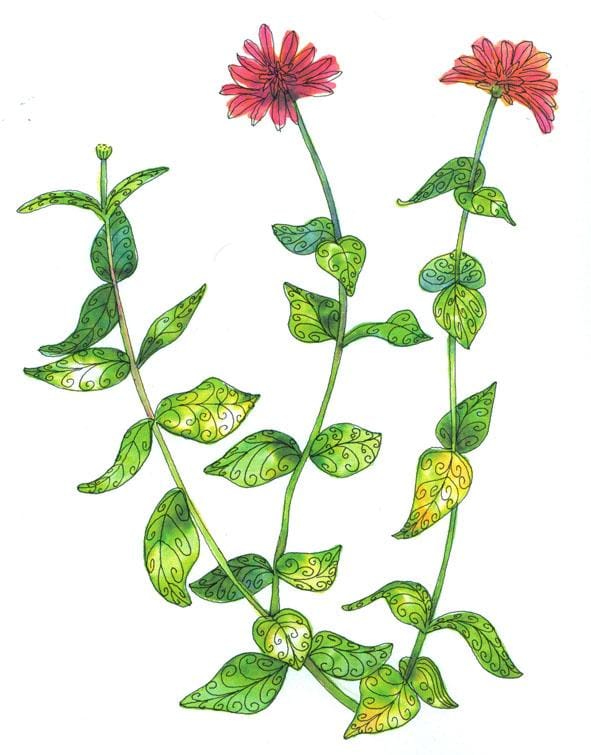 Whimsical flowers - image 1 - student project