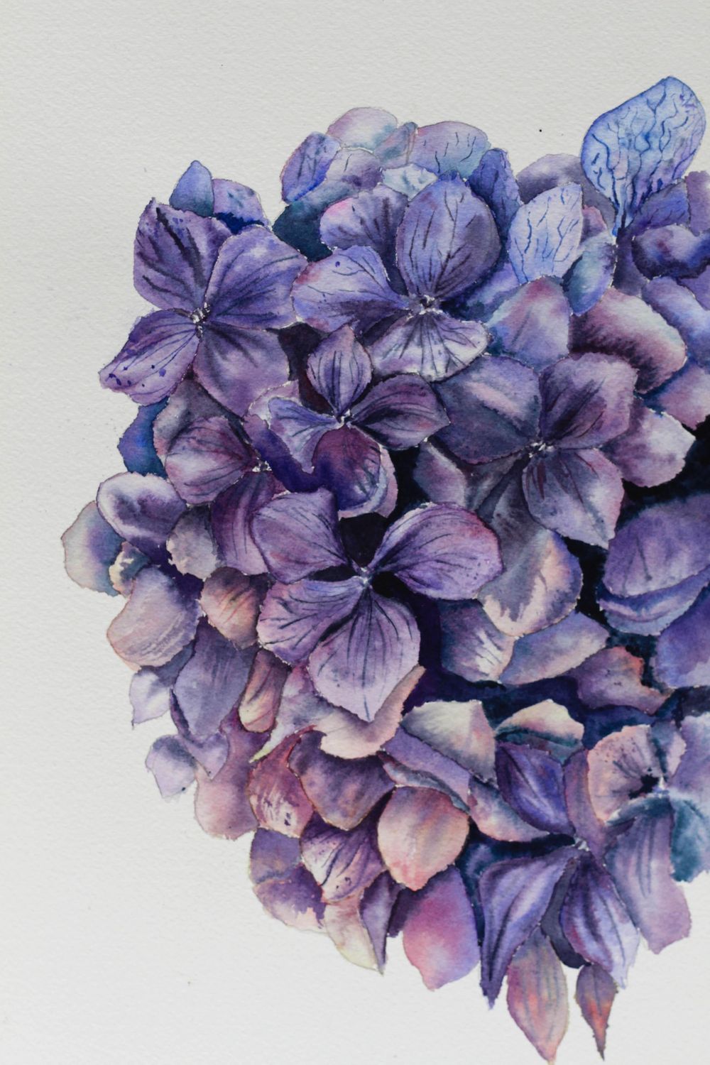 Finished Hydrangea - image 1 - student project