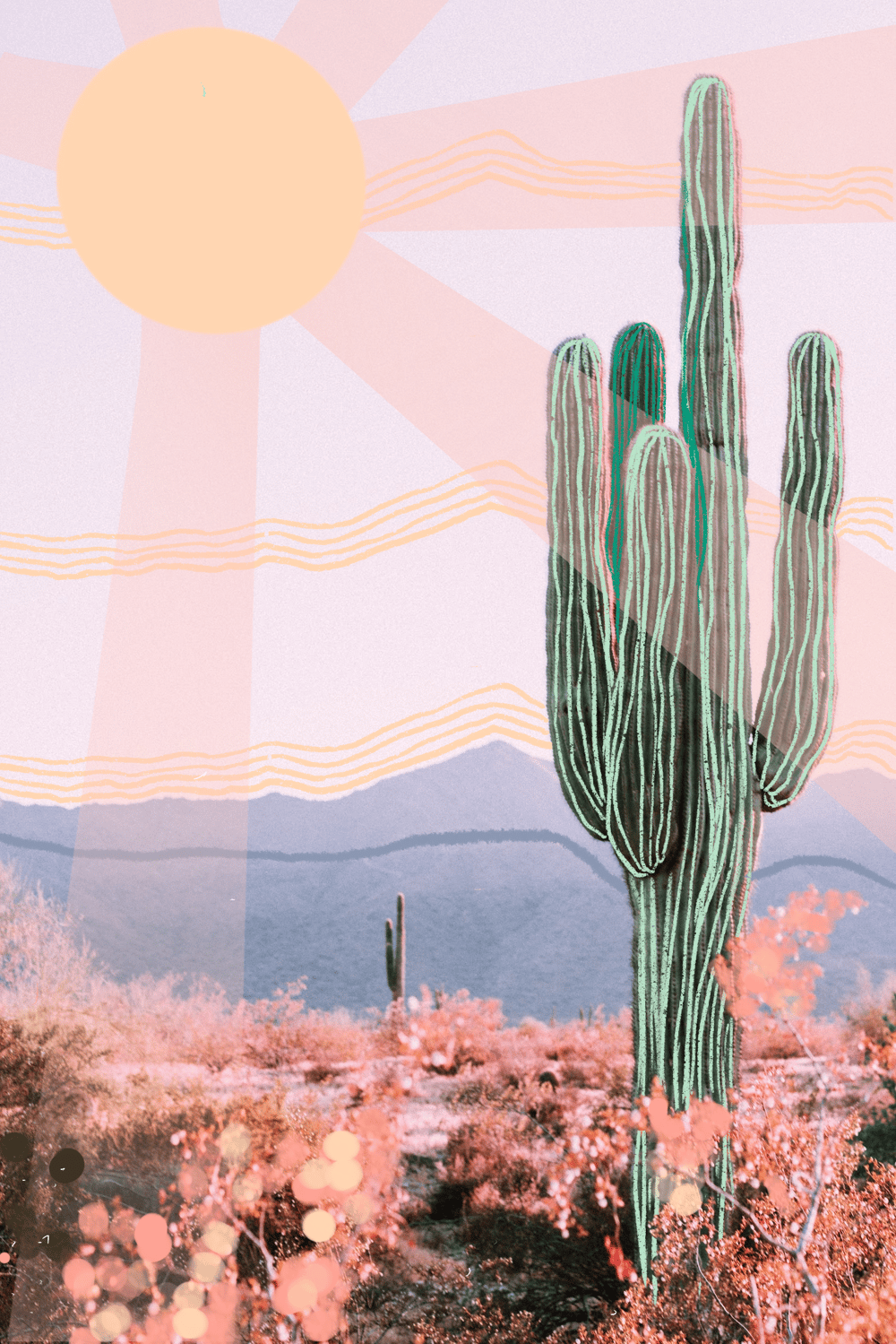 the lonely cactus - image 2 - student project