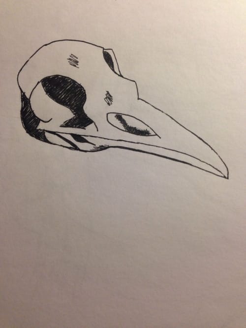 Crow Skull Sticker - image 3 - student project