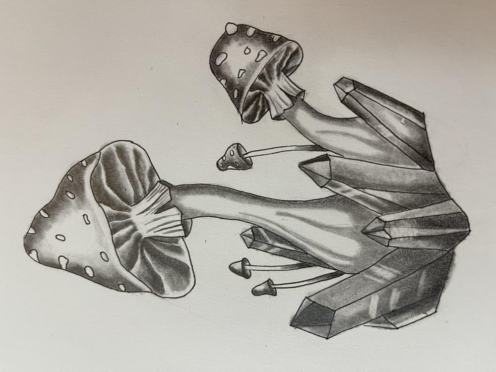 Mushrooms and Crystals - image 1 - student project