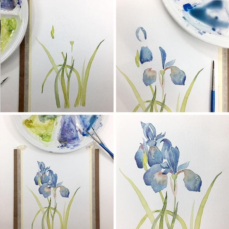 Watercolor flowers - image 2 - student project